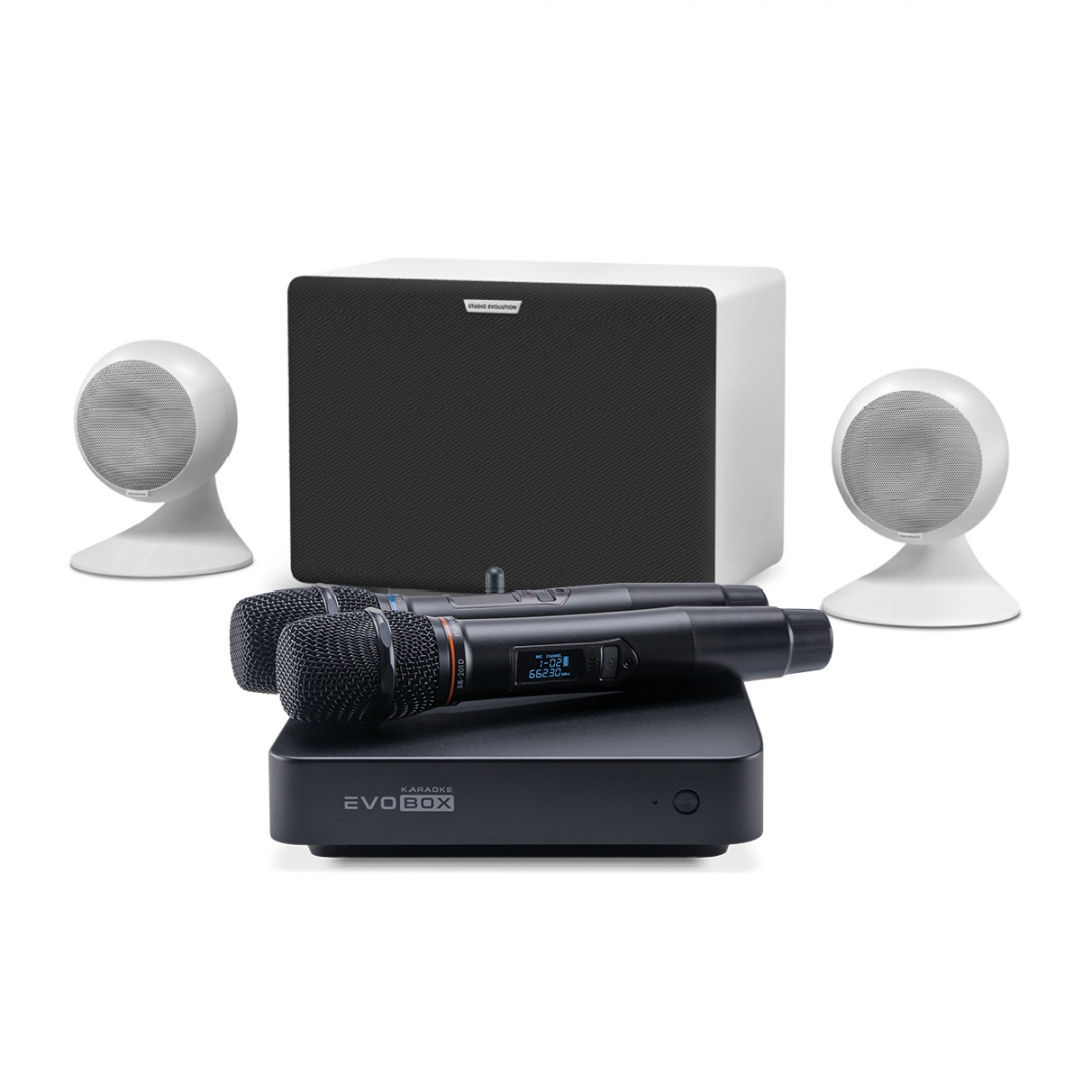 караоке-комплект EVOBOX Classic + EvoSound Sphere 2.1 в Нефтеюганске